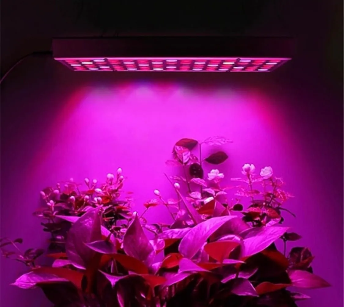 20W LED-taimelamp siseruumidesse ja kasvuhoonesse