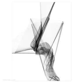 Aerial Silk, Black And White Art, Style B