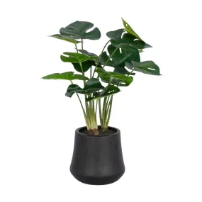 Faux Mini Monstera Plant & Terracotta Planter