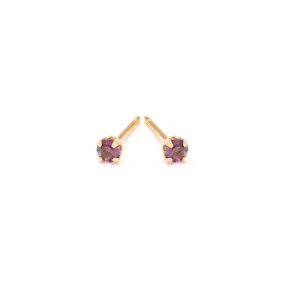 February Birthstone 14k Gold Plated Stud Earrings