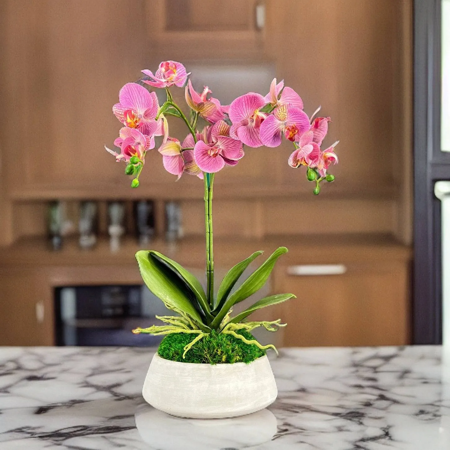 Orchid and Moss Centerpiece in Cement Bowl