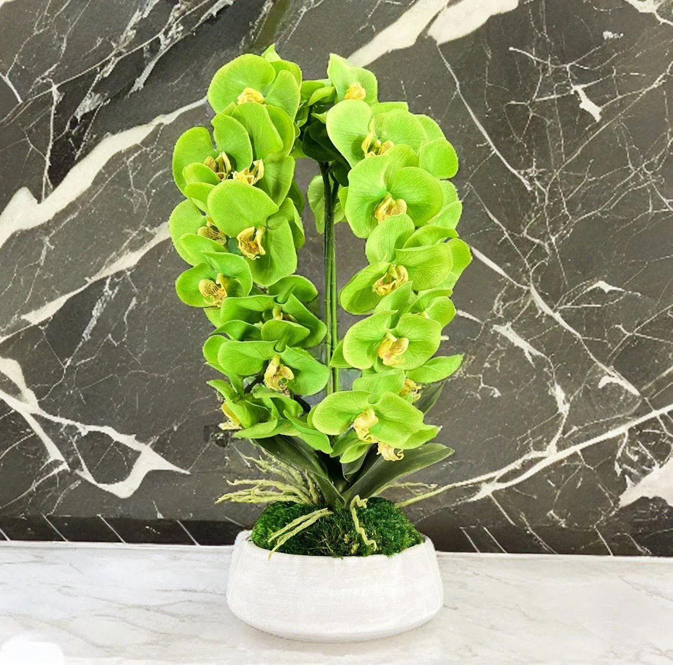 Orchid and Moss Centerpiece in Cement Bowl