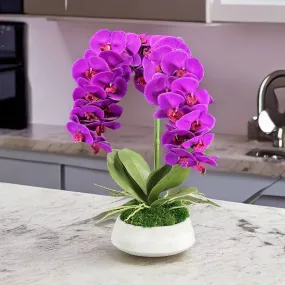 Orchid and Moss Centerpiece in Cement Bowl